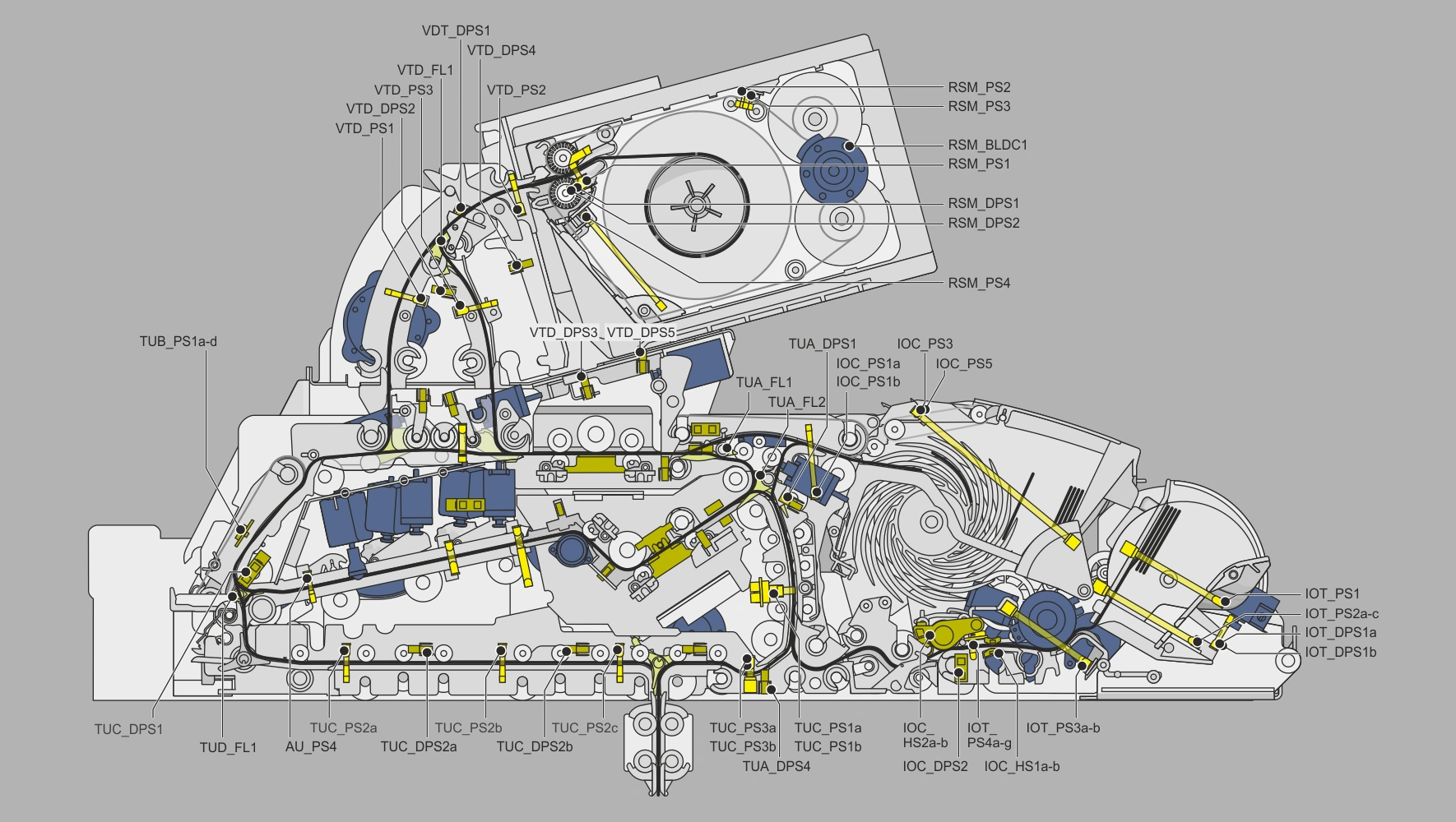 Visualisierung der Sensorik und Motorik